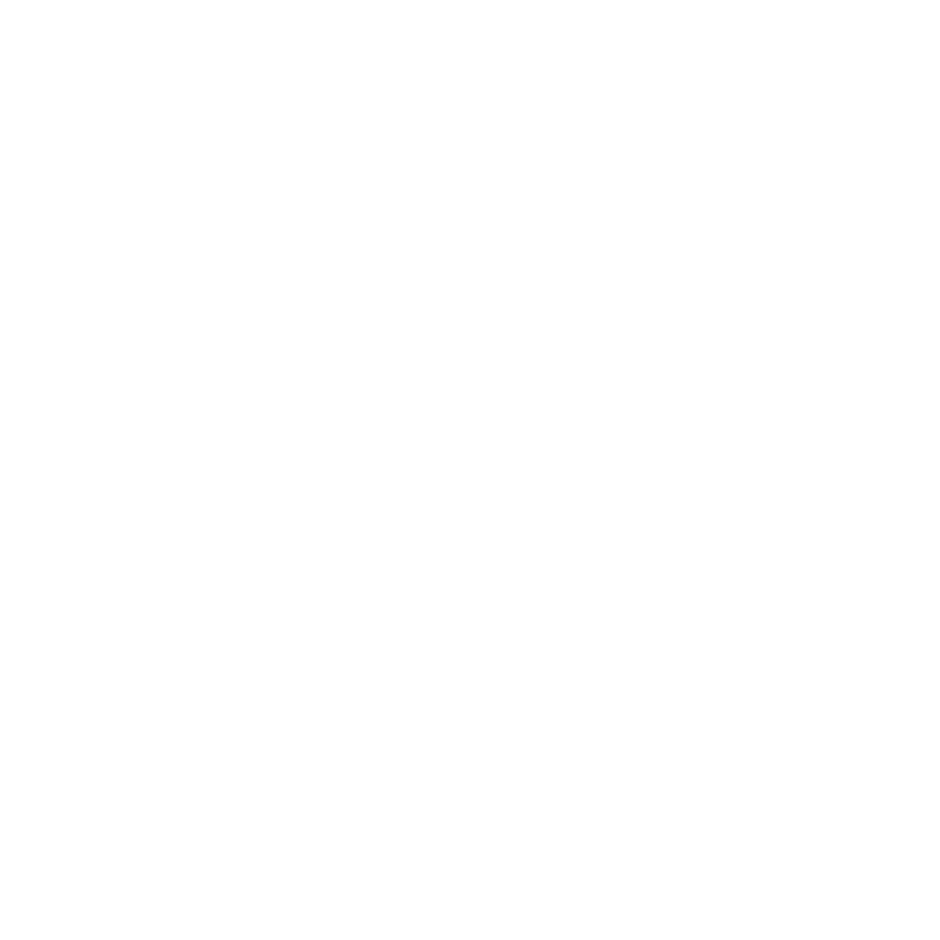 VERSUS logo